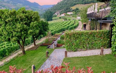 Le chemin de l’EFT : l’alliance thérapeutique