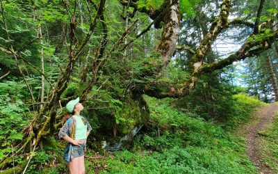 Le chemin de la psychologie positive : confiance ou estime ?