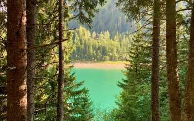 Le chemin du coaching : thérapie et coaching, quelle différence ?