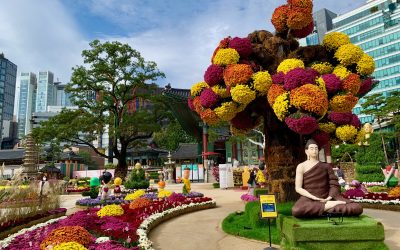 Le chemin de la psychologie positive : bien-être ou bonheur ?