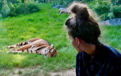 Je fais de mon mieux